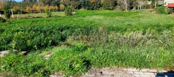 Grundstück in Fiscal, Portugal, Nr. 161978 2