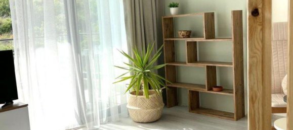 Studio in Kestel, Turkey No. 30097 23