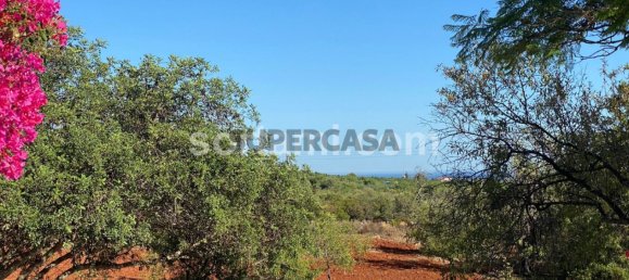 Casa de 4 dormitorios en Tavira, Portugal No. 159234 8