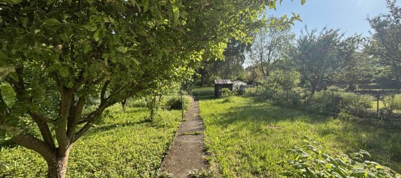 Дом с 4 спальнями в Ютц, Франция № 258505 15