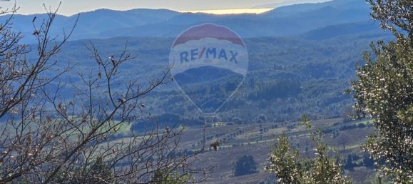 1 bedroom Apartment in Monteverdi Marittimo, Italy No. 261668 24