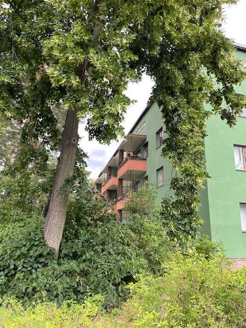 1 Schlafzimmer Wohnung in Zehlendorf, Germany, Nr. 33118