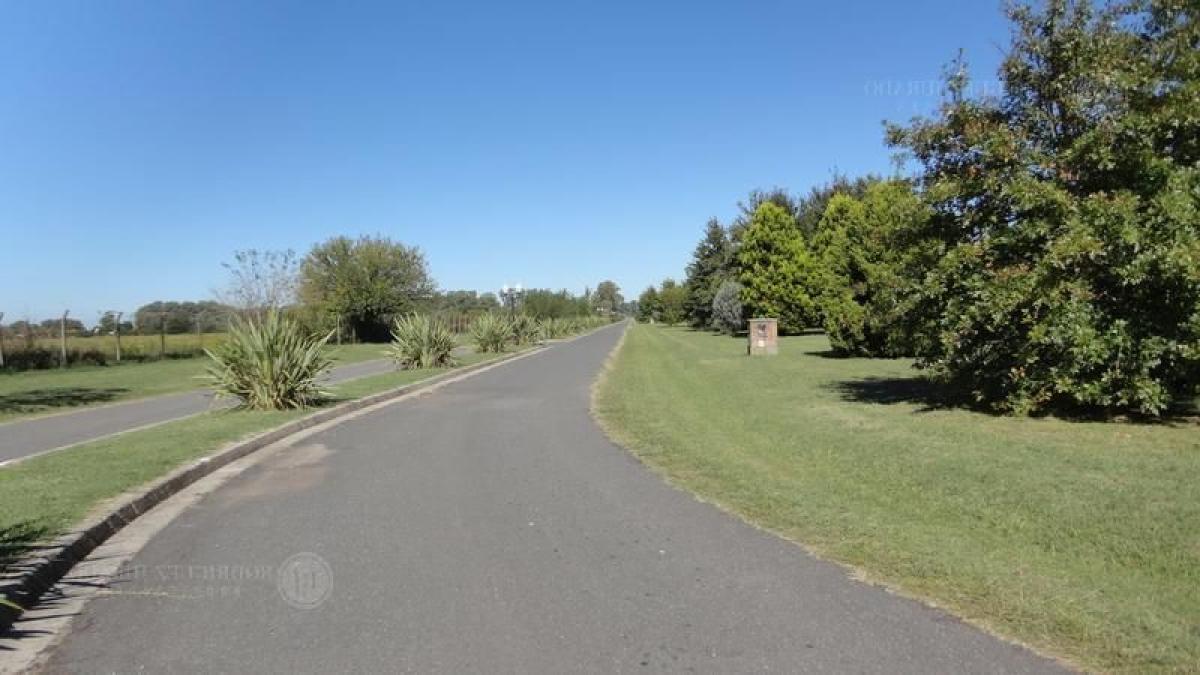 Grundstück in General Rodriguez, Argentina, Nr. 47529