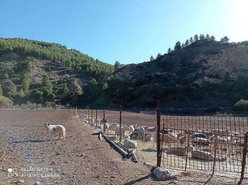134902m² Land in Antequera, Spain No. 222138
