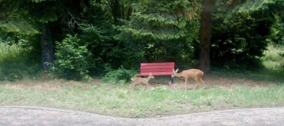 Villa de 5 dormitorios en Monchengladbach, Germany No. 266054 8