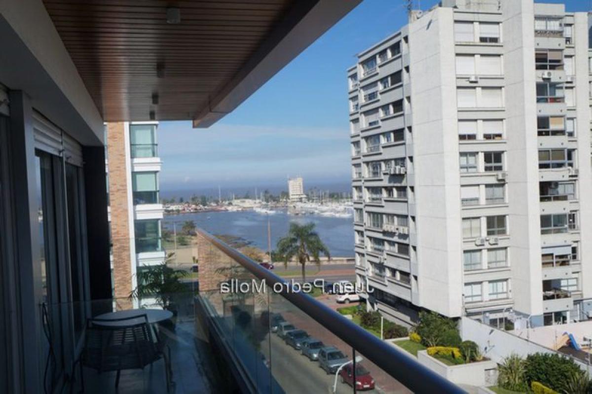 Квартира с 2 спальнями в Монтевидео, Уругвай № 6849