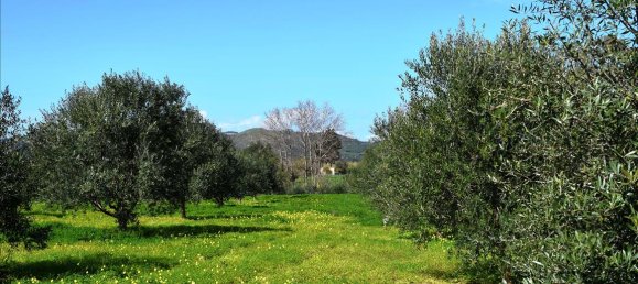 11000m² Hotel in Chania, Greece No. 5827 4