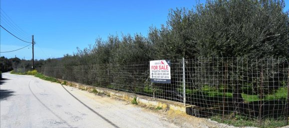 11000m² Hotel in Chania, Greece No. 5827 5