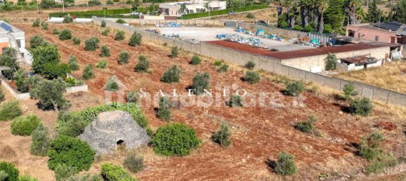 7100m² Land in Casarano, Italy No. 260095 9