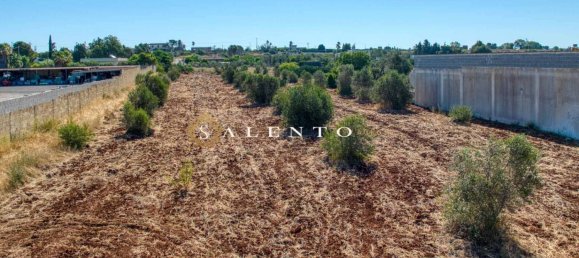 7100m² Land in Casarano, Italy No. 260095 8