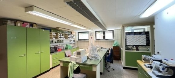 19-Zimmer Gebäude in Kaiserslautern, Germany, Nr. 13042 10