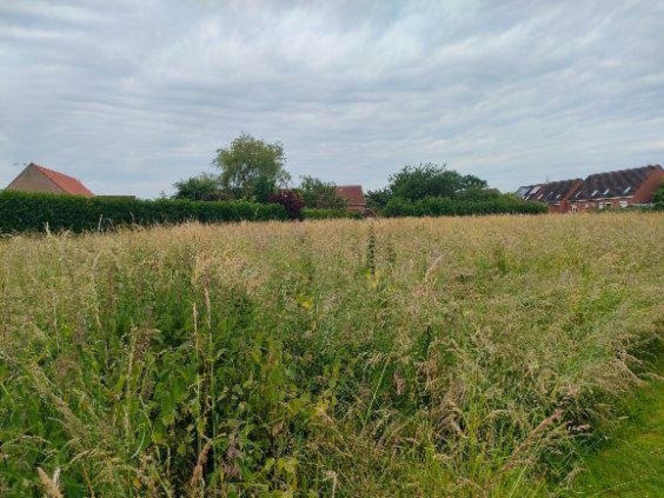 Terrain à Bavinchove, France 1511m² No. 266030