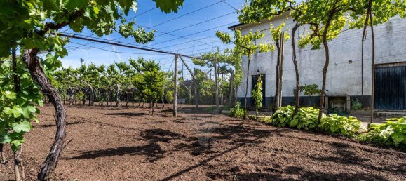 Casa T3 em Celorico de Basto, Portugal N.º 164143 24