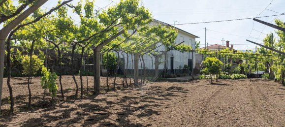 Casa T3 em Celorico de Basto, Portugal N.º 164143 26