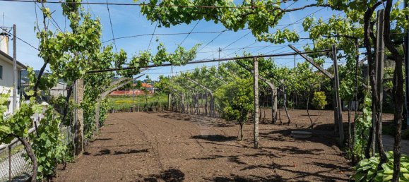 Casa T3 em Celorico de Basto, Portugal N.º 164143 28