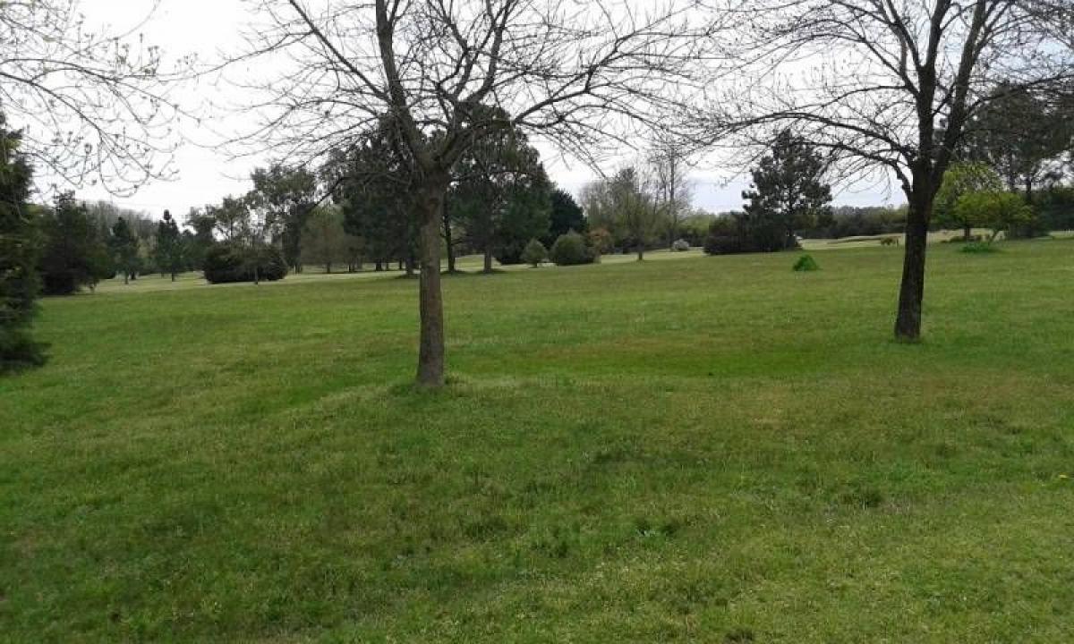  Land in Moreno, Argentina No. 122210