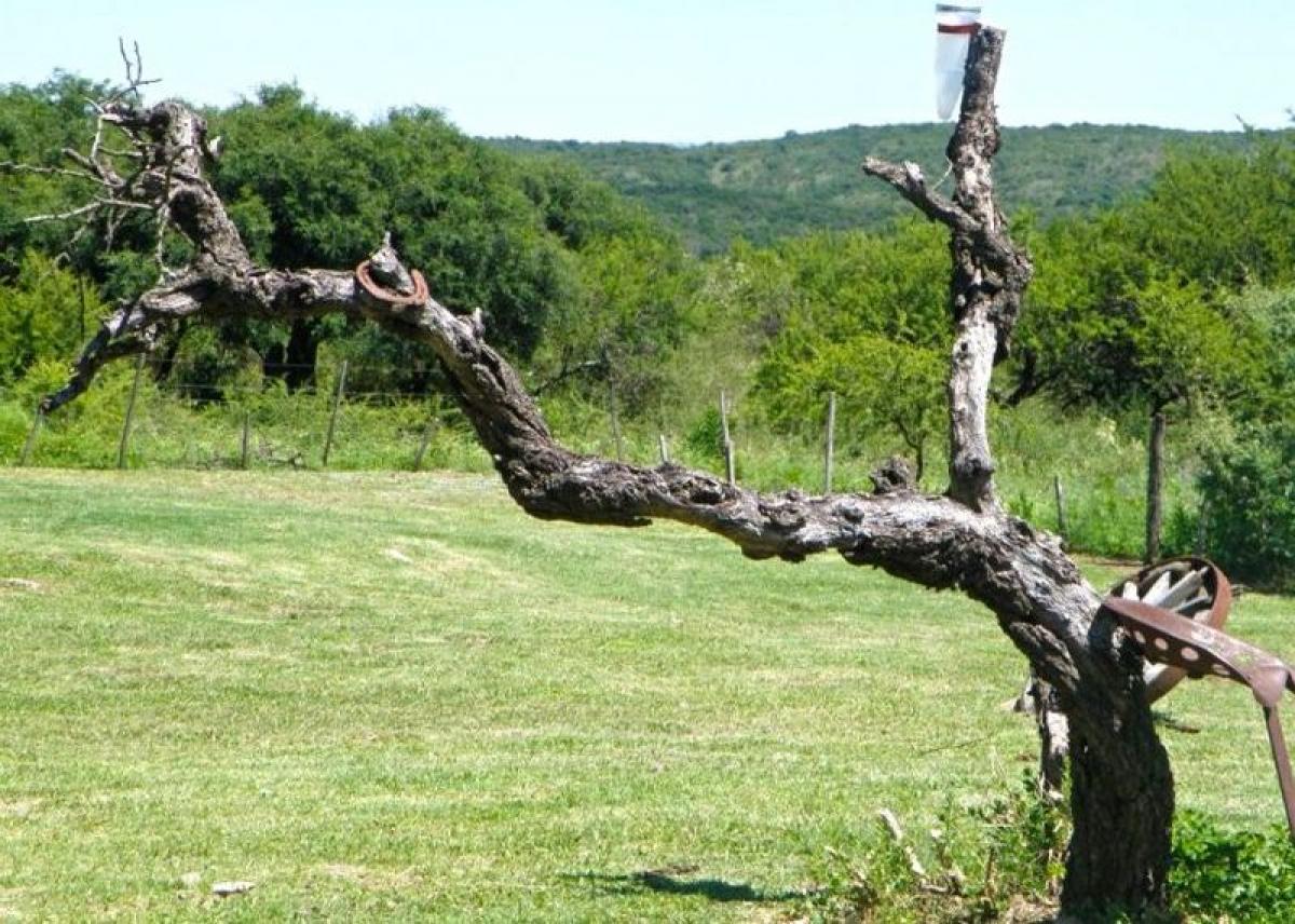  Land in Cordoba, Argentina No. 45717