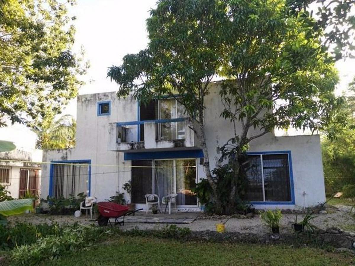 4 bedrooms House in Yucatan, Mexico No. 183221