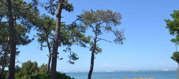 7 bedrooms Villa in Grandola, Portugal No. 142835 33