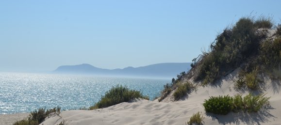 7 bedrooms Villa in Grandola, Portugal No. 142835 18