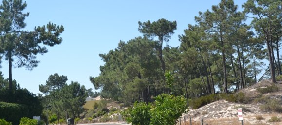 7 bedrooms Villa in Grandola, Portugal No. 142835 29