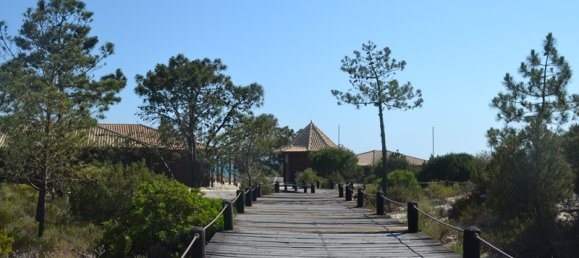 7 bedrooms Villa in Grandola, Portugal No. 142835 19