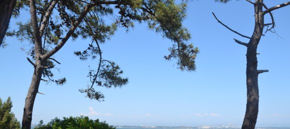 7 bedrooms Villa in Grandola, Portugal No. 142835 30