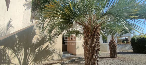 Apartamento de 2 dormitorios en Santa-Lucia-di-Moriani, France No. 81163 3