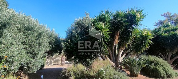 Apartamento de 2 dormitorios en Santa-Lucia-di-Moriani, France No. 81163 2