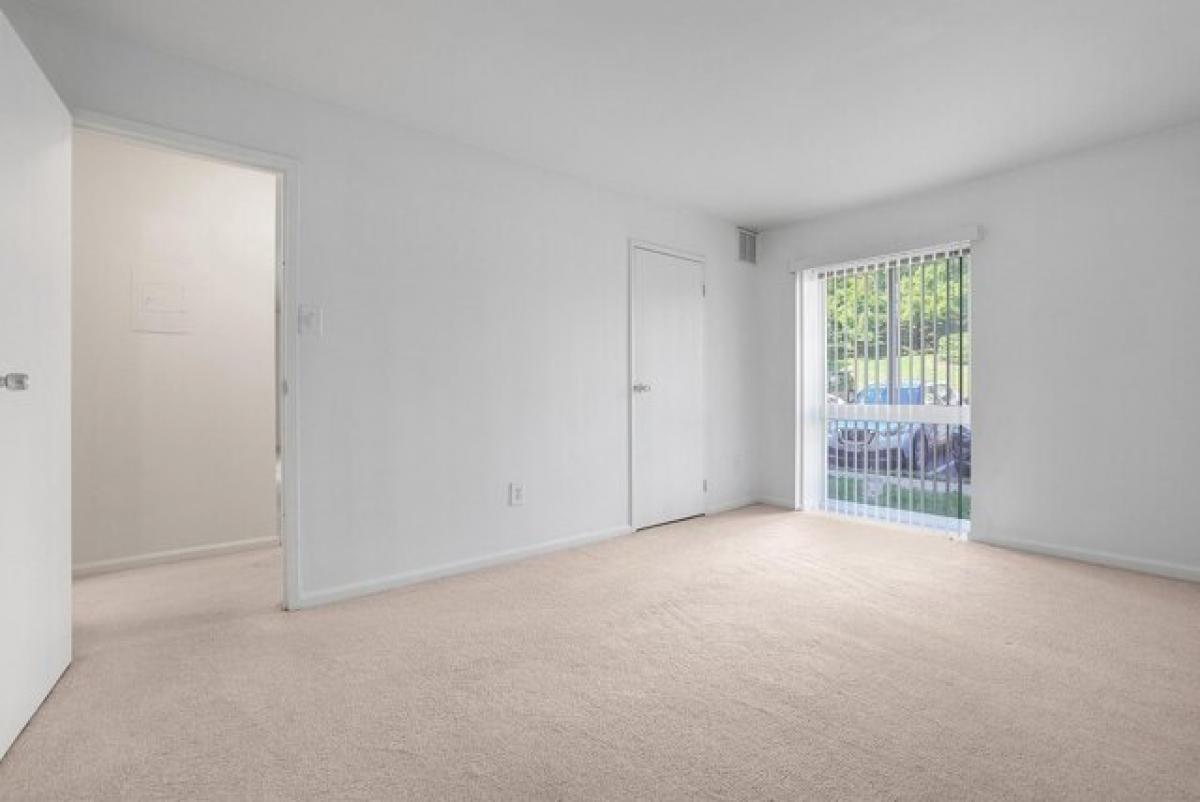 Studio in Alexandria, USA No. 397727