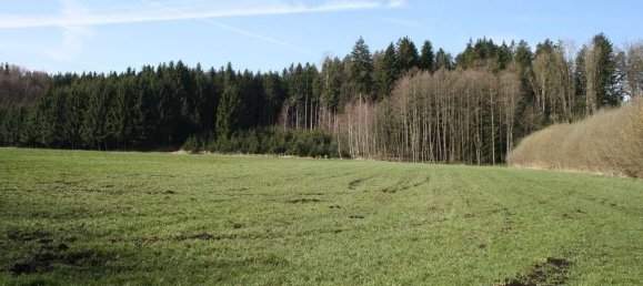 Terrain à Ebersberg, Germany No. 79459 2