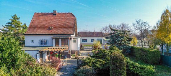 4-salle Maison à Hohenau an der March, Austria No. 70777 4