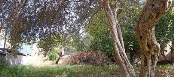 Studio in Gaggi, Italy, Nr. 132233 3