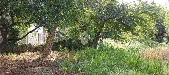 Studio in Gaggi, Italy, Nr. 132233 16