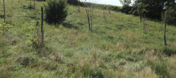  Land in St. Georgen am Walde, Austria No. 43358 2