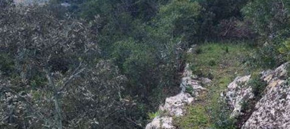 2غرفة منزل في Fasano, Italy رقم 171631 5