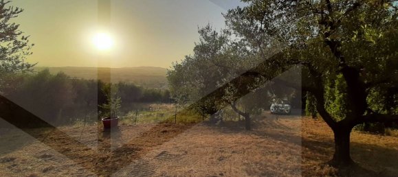 1-Zimmer Grundstück in Montesilvano, Italy, Nr. 20163 7