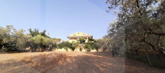 1-Zimmer Grundstück in Montesilvano, Italy, Nr. 20163 3