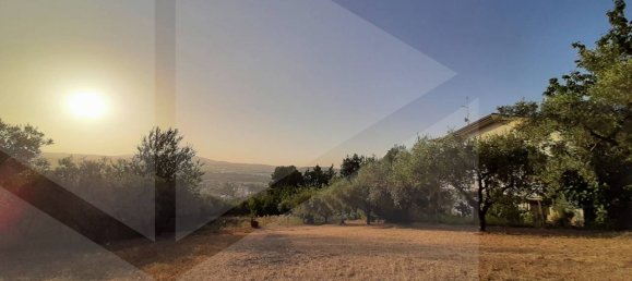 1-Zimmer Grundstück in Montesilvano, Italy, Nr. 20163 4