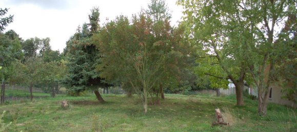 7 rooms Townhouse in Nordsachsen, Germany No. 320816 5