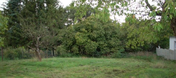 7 rooms Townhouse in Nordsachsen, Germany No. 320816 6