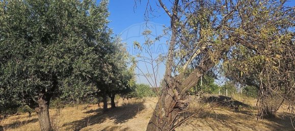 Grundstück in Vila Nova de Cacela, Portugal, Nr. 302984 10