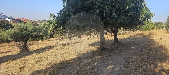 Grundstück in Vila Nova de Cacela, Portugal, Nr. 302984 4