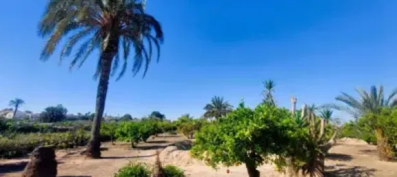 Casa de 5 dormitorios en San Fulgencio, Spain No. 176923 6