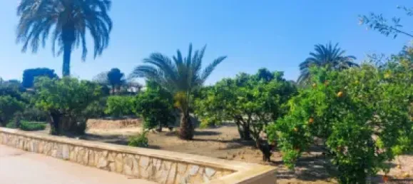 Casa de 5 dormitorios en San Fulgencio, Spain No. 176923 7