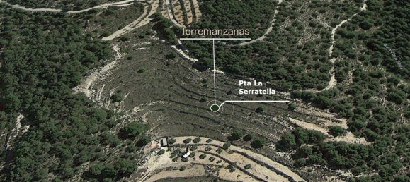 39200m² Land in Torremanzanas, Spain No. 96674 8
