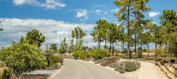  Land in Grandola, Portugal No. 64830 9