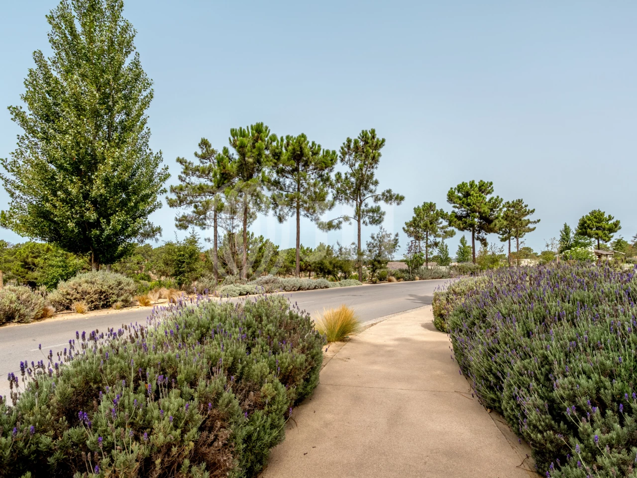  Land in Grandola, Portugal No. 64830