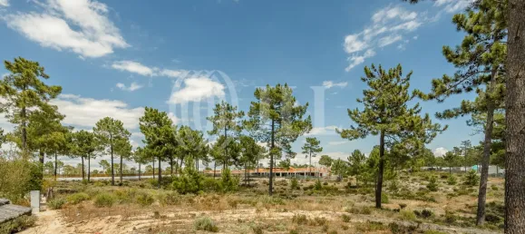  Land in Grandola, Portugal No. 64830 3