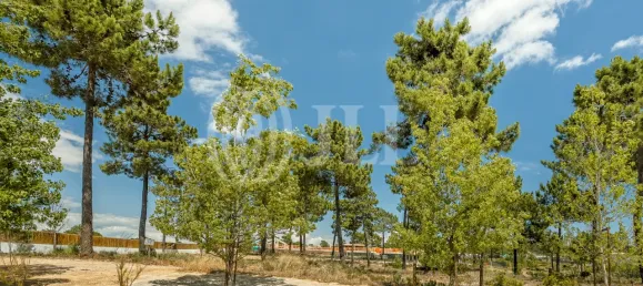  Land in Grandola, Portugal No. 64830 2